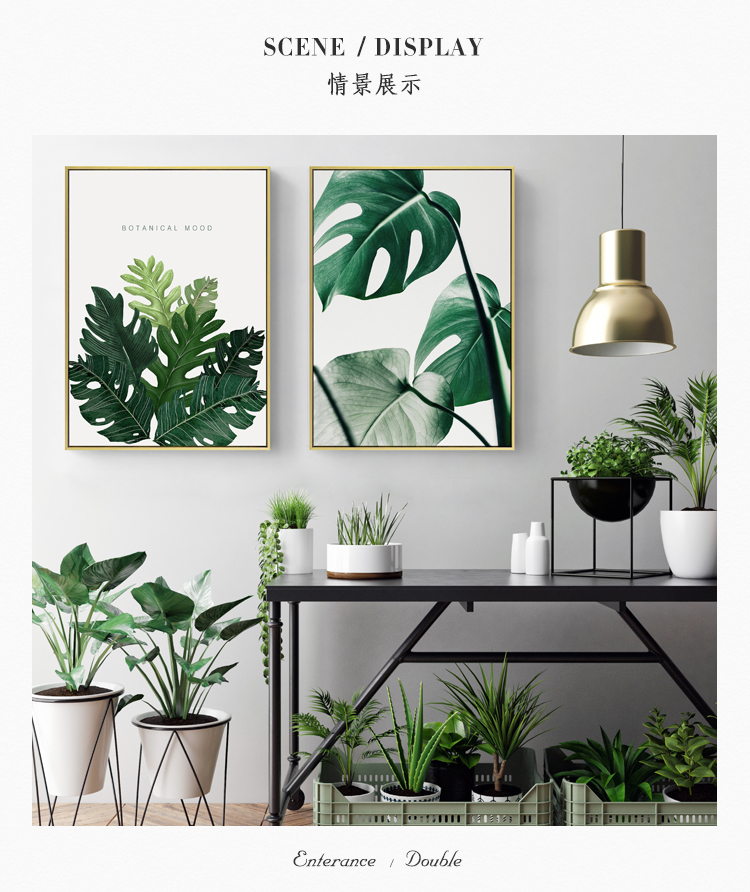 清新植物裝飾畫，簡(jiǎn)約大氣客廳裝飾畫