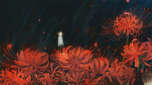 4款舞小仙的繪本插畫，不一樣的美！