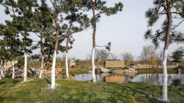 中式裝修，禪意茶室