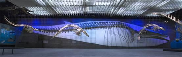 德國(guó)最大的自然博物館，德國(guó)森根堡自然博物館