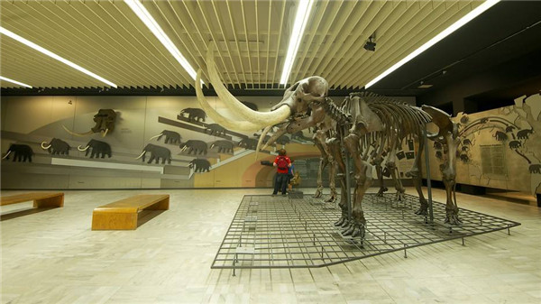 德國(guó)最大的自然博物館，德國(guó)森根堡自然博物館