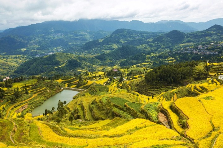 溫州墟里壹號民宿