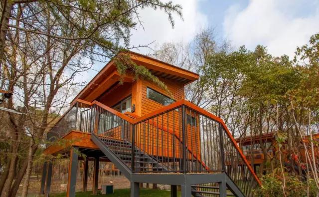 太湖之濱玖樹-森林的秘密