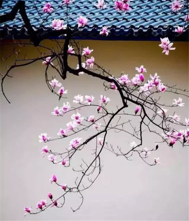 中國(guó)最美古建筑，古建筑攝影