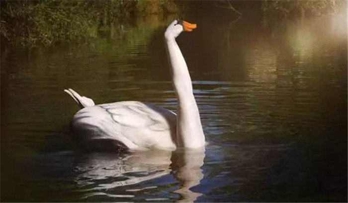 人體彩繪以假亂真！令人嘆為觀止的人體彩繪藝