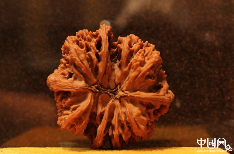 精品四棱滿天星獅子頭核桃（收藏級）