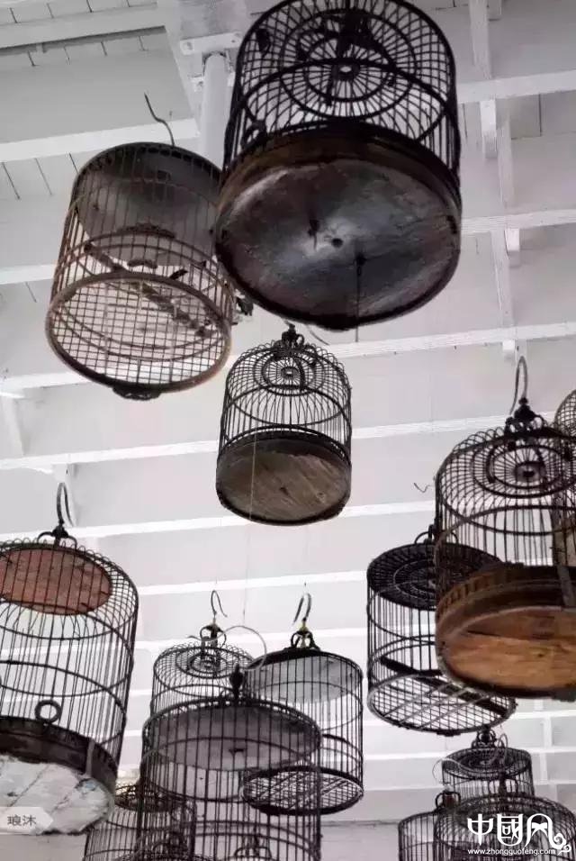 最美福連文苑鳥籠