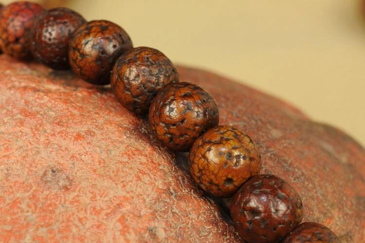 什么是星月菩提？原生態(tài)藏傳爆老星月菩提