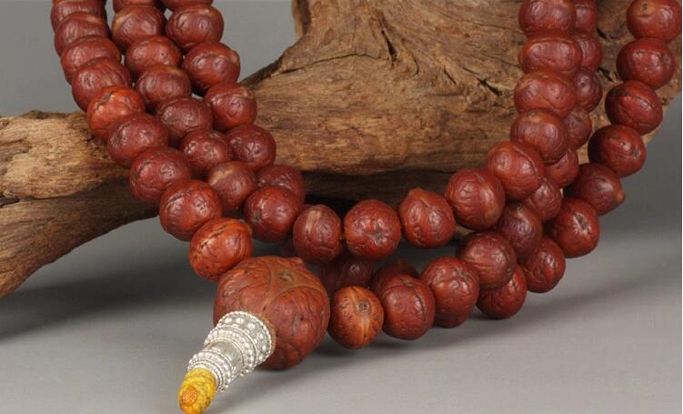 矮樁金眼爆紅小鳳眼菩提怎么盤？