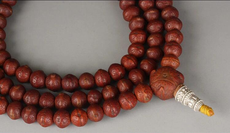 矮樁金眼爆紅小鳳眼菩提怎么盤？