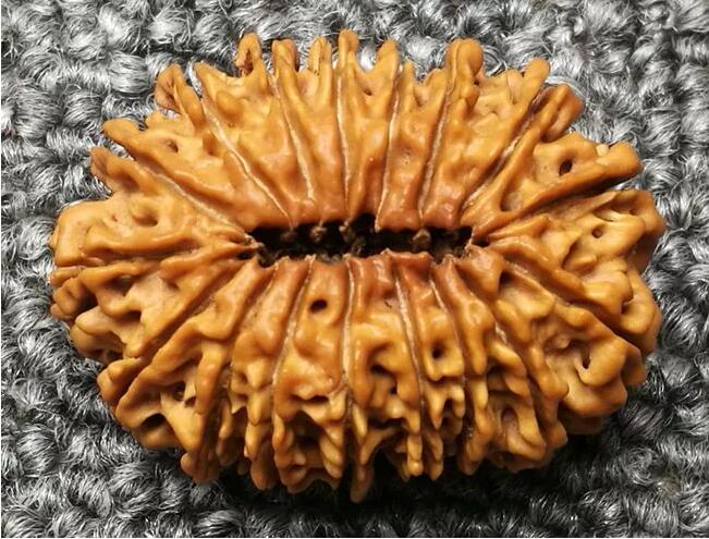 大金剛菩提子幾瓣的好？十七瓣金剛菩提子寓意