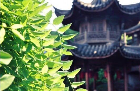 胡雪巖故居：亭臺(tái)樓閣交相輝映