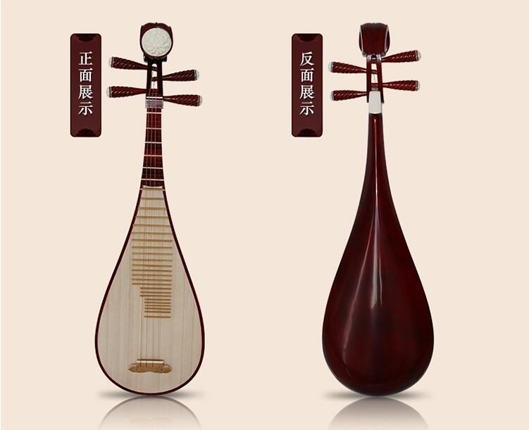 民族樂(lè)器琵琶琴