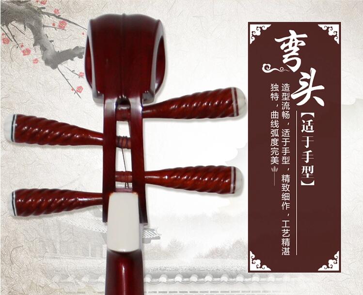 民族樂(lè)器琵琶琴