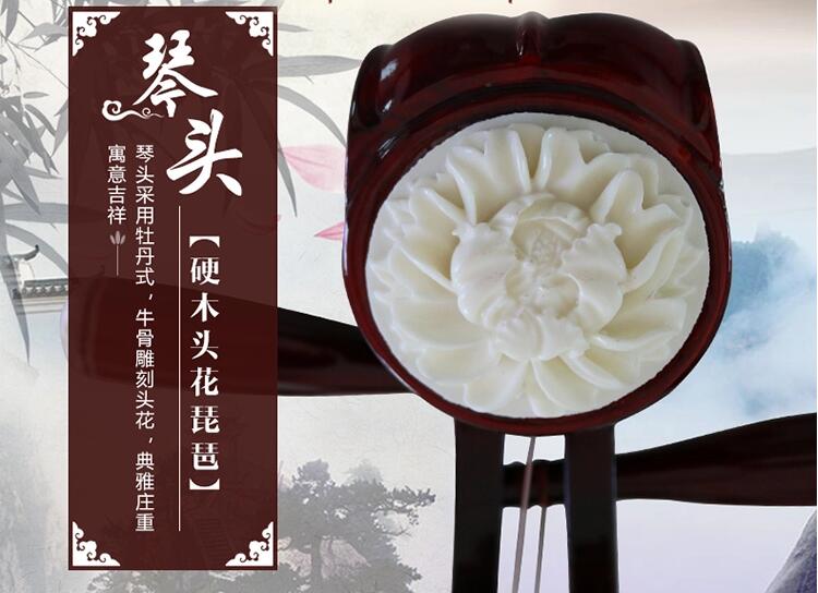 民族樂(lè)器琵琶琴