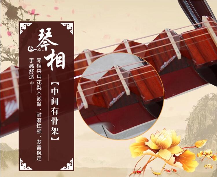 民族樂(lè)器琵琶琴