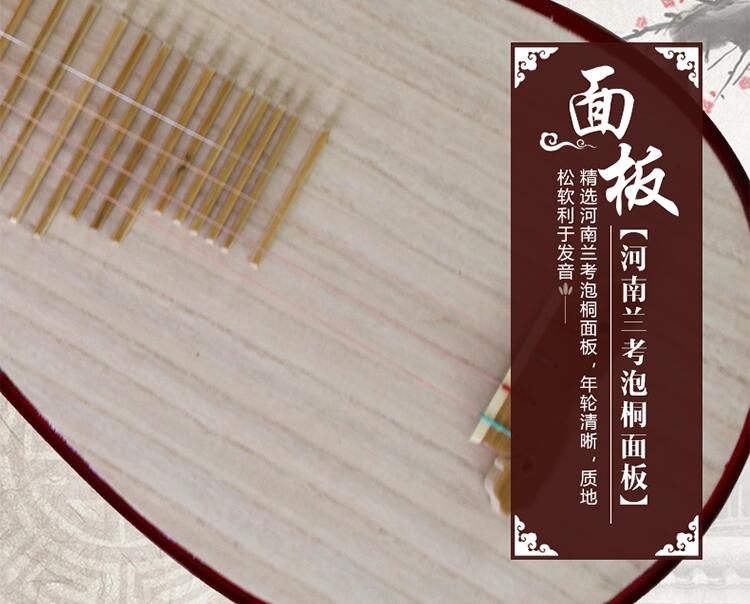 民族樂(lè)器琵琶琴