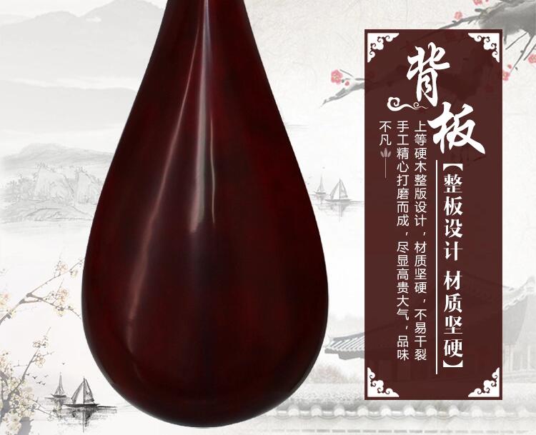 民族樂(lè)器琵琶琴