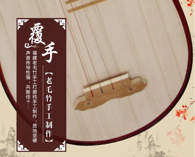 民族樂(lè)器琵琶琴