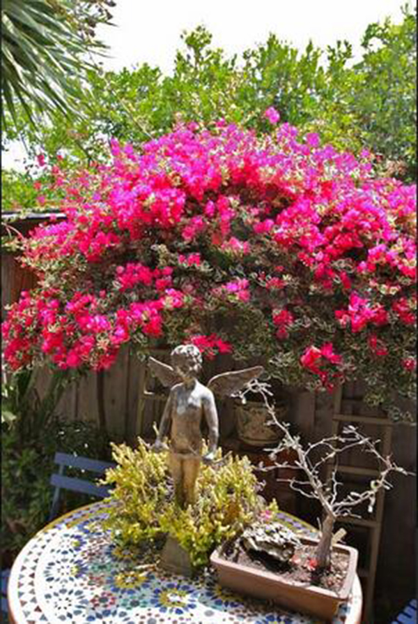 麥克的小屋，美國(guó)民宿
