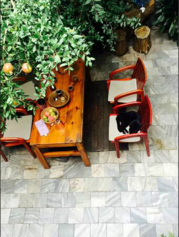 蒼山腳下的民宿，古城內(nèi)貓三家清靜四合小院民