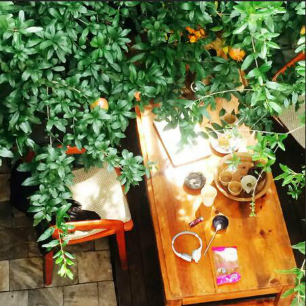 蒼山腳下的民宿，古城內(nèi)貓三家清靜四合小院民