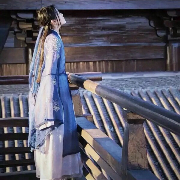 魏晉風兩重交領齊腰襦裙大袖衫