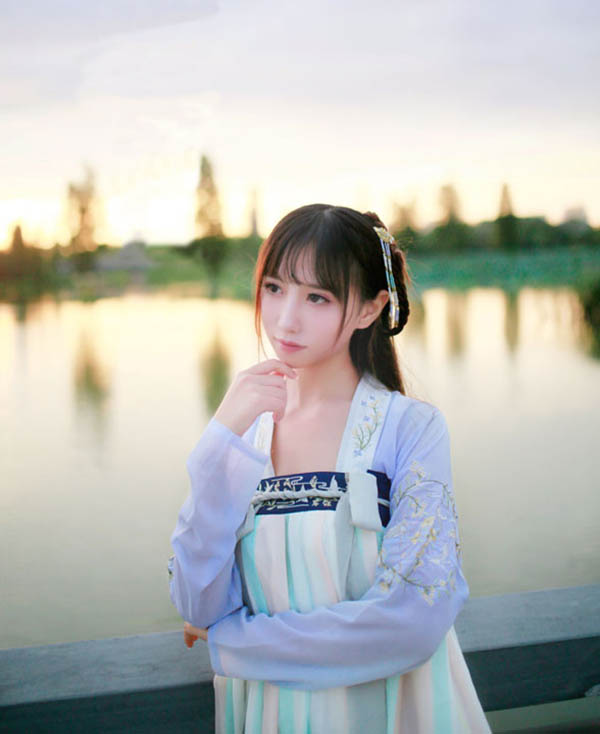 漢服 大袖衫齊胸襦裙