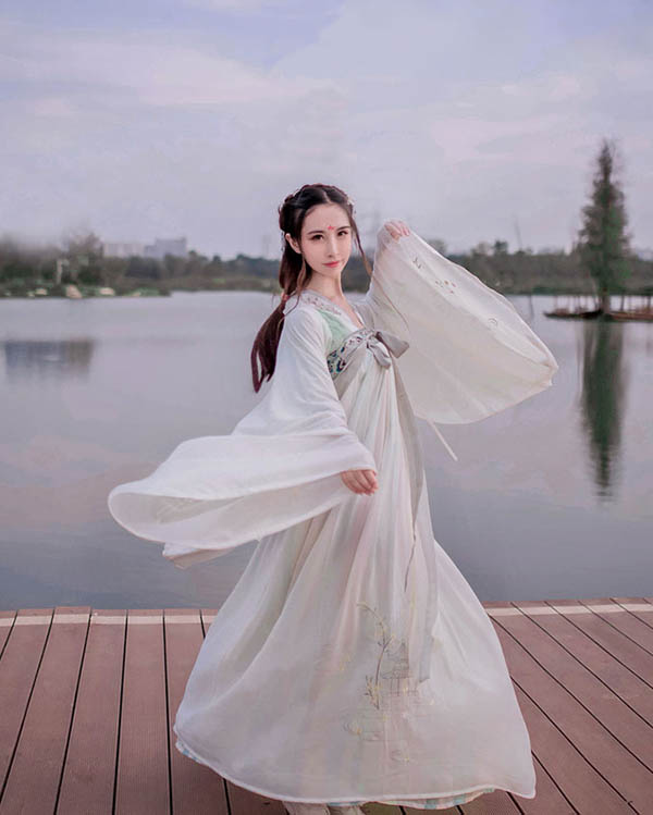 漢服 大袖衫齊胸襦裙