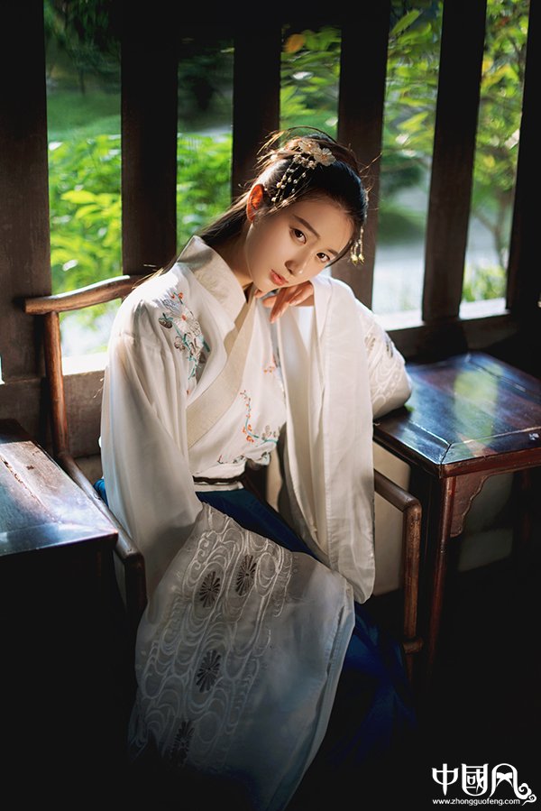 刺繡交領齊腰大袖襦裙