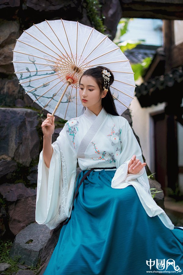 刺繡交領齊腰大袖襦裙