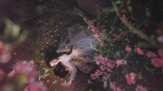 古裝女子攝影照片，桃樹為誰種