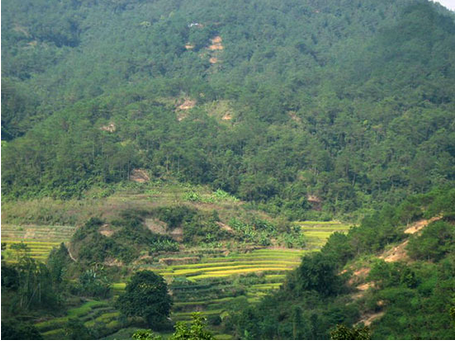 墳墓朝向禁忌有哪些？墳墓不宜朝向的地方