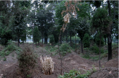 農(nóng)村下葬要注意哪些問題？農(nóng)村下葬的風水講究