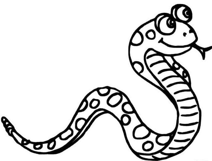 屬蛇的人的床頭朝向風(fēng)水是怎樣的？