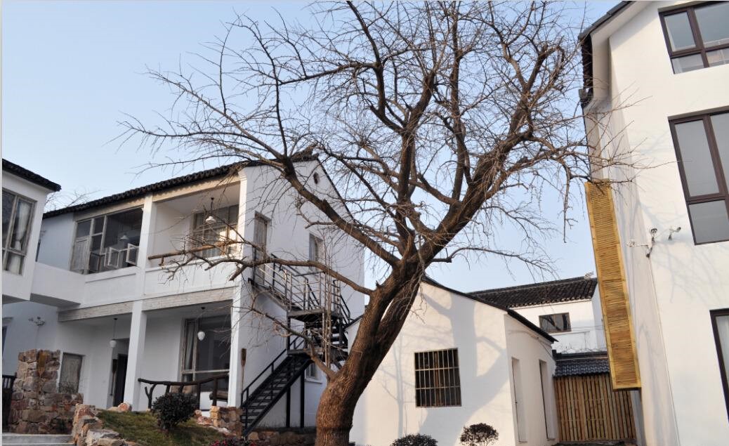 房子坐向風(fēng)水詳解，房屋的坐向如何確定？