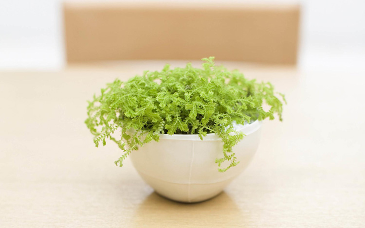 走上人生巔峰，只需掌握這四種顏色方向