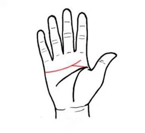 四種不同手掌外形，看出你的不同性格