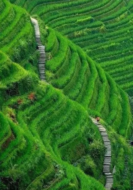 中國園林風(fēng)水中的布局藝術(shù)