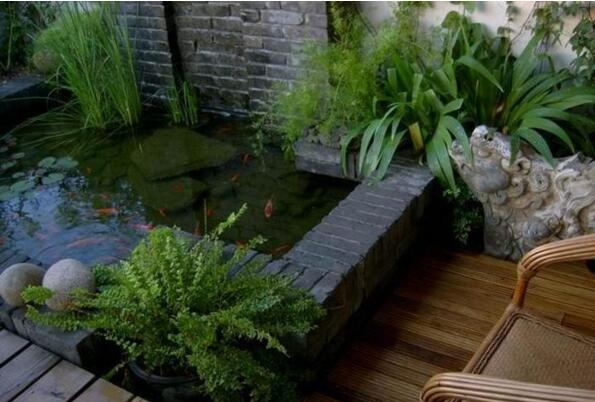 別墅院子里的魚(yú)池風(fēng)水