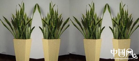 旺子女學業(yè)的風水有哪些