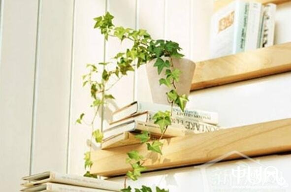 家居中的花草風水有哪些