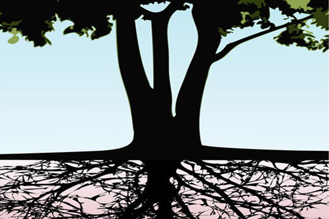 想要知道你的婚姻根基在哪里？快來學習風水學