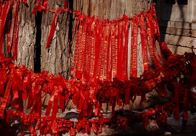 想要招姻緣嗎？風(fēng)水學(xué)來(lái)幫你