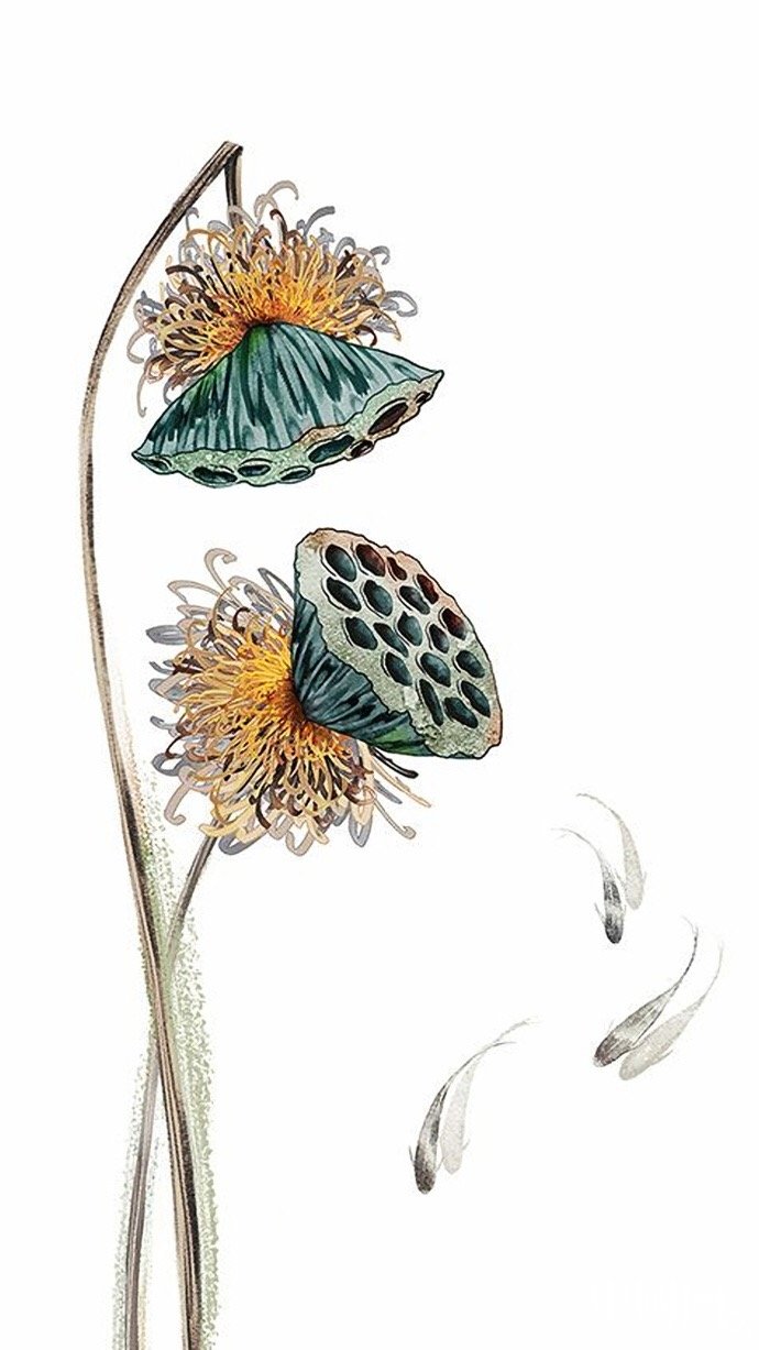 驚艷迷人的古風(fēng)圖片，超美古風(fēng)手機壁紙圖集