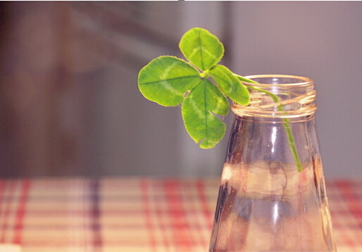 學(xué)習(xí)風(fēng)水學(xué)，生活風(fēng)水禁忌大全送給你