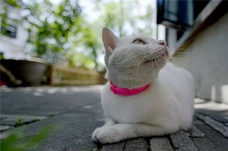 小日子生活館，選一本書過自己的生活方式