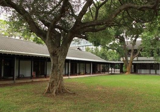 庭院植樹(shù)的幾大禁忌，你知道嗎？