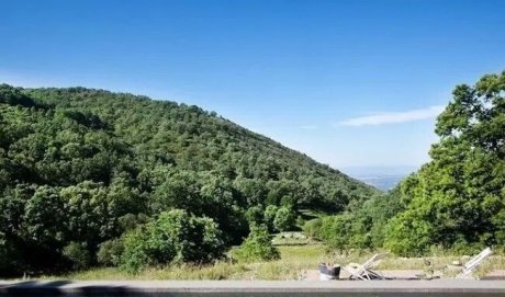 驚呆了，雞窩豬舍馬廄牛棚羊圈變民宿!