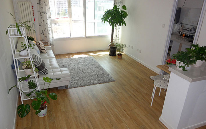 學(xué)習(xí)風(fēng)水學(xué)，客廳擺放植物風(fēng)水禁忌全get！